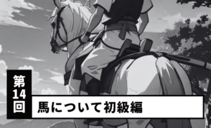 【第14回】馬について 初級編